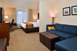Comfort Inn & Suites Madison North - 7