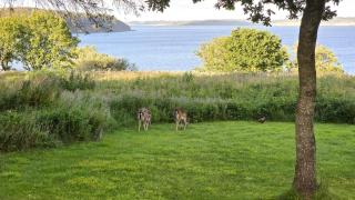Red Timber House With Fjord View - 3