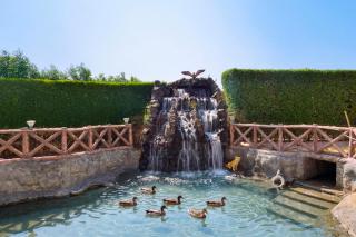 Ginger Kheda, Ahmedabad - 7