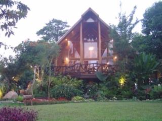 The Log of Paradis - 0