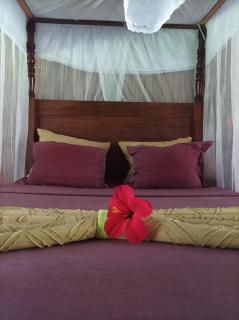 Chambres d'hôtes Villa Les Orchidées Chez Ago - Île Sainte-Marie - 2