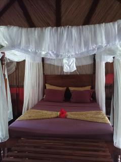 Chambres d'hôtes Villa Les Orchidées Chez Ago - Île Sainte-Marie - 1