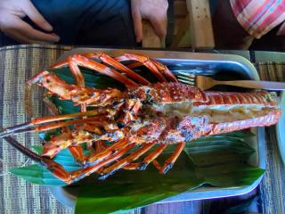 Loh jinawi Guest House Bunaken - 7