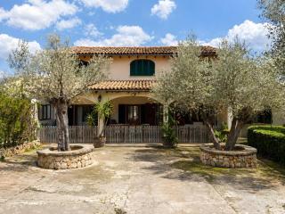 Son Fransi Alaro - 9