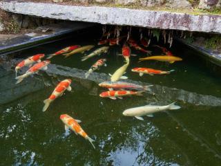 Koiya - Vacation STAY 04646v - 7