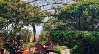 Gem Flower Jinyu Sunshine Hotel - 7