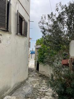 Little Graceland - 4