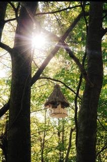 Treehouse Vtáčikovo - 5