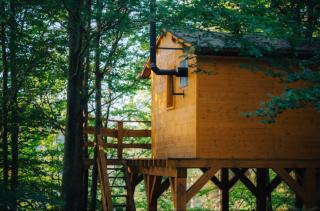 Treehouse Vtáčikovo - 4