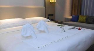 Derayco Hotel Foshan - 8