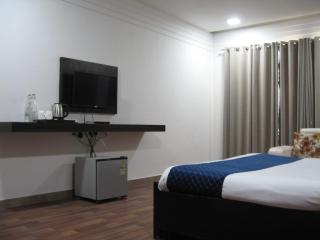 Posh Classic -Sector 45 Millennium city center Gurgaon - 7