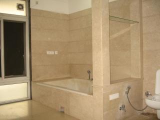 Posh Classic -Sector 45 Millennium city center Gurgaon - 3