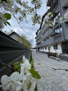 Confort Iasi Apartment Free Parking - 2