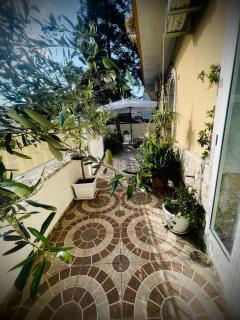 L’abete bianco - Taranto - 6