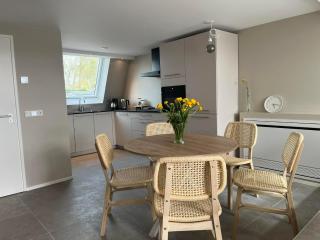 Compleet gerenoveerde vakantiewoning dichtbij strand Zoutelande - 1