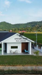 Antara Padi Villa Private Pool - 1