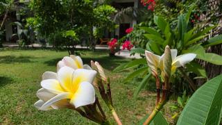 The Dream Inn Guesthouse Passikudah - 8