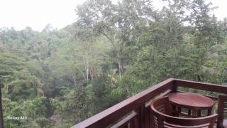 Ubud Riverside House - 2