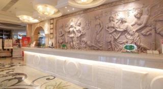 Vienna Hotel Tianjin Guizhou Road Branch - 3