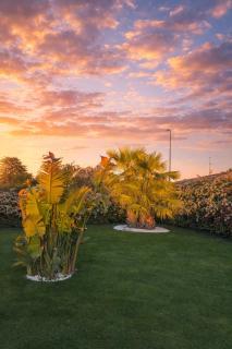 Villa Ikal - Modugno - 7