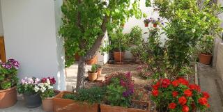 Villa Malena Volos Alykes beach - 8