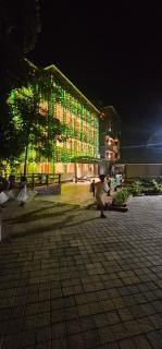 Ynad Mount Resort - 8