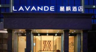 Lavande Hotel Shenzhen Pingshan High-Speed Railway Station Longdong Metro Station - 8