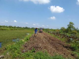 Lều Rơm vách Đất - 5