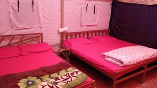 Haryana Royal Stay - 4