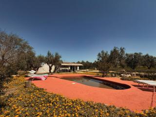 Trullo Occhiazzi - Ruffano - 4