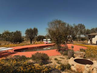 Trullo Occhiazzi - Ruffano - 2