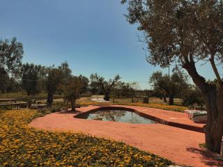 Trullo Occhiazzi - Ruffano - 1