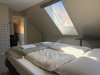 Newly renovated in the heart of Bergen - 5 bedroom - 3