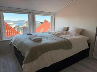 Newly renovated in the heart of Bergen - 5 bedroom - 1