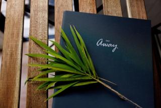 Bamboo Grove by Tiny Away - 1