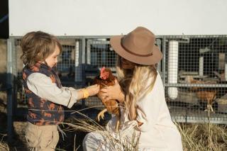 Golden Hill Farmstay by Tiny Away - 9