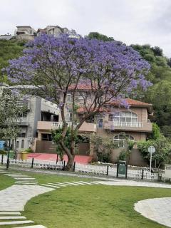 Park Front Studio Guest Room - 3