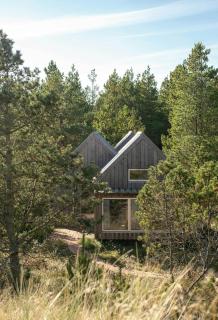 Architect-Designed House Among Dunes And Trees - 0