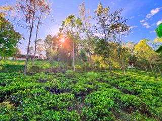 Hike & Stay Ella - 2