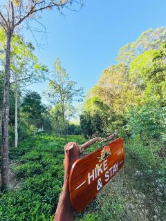 Hike & Stay Ella - 1