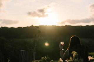 Rainforest Sunsets by Tiny Away - 5