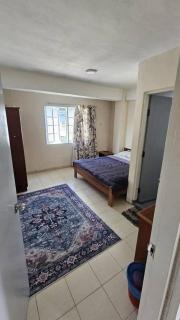 potini high veiw - 5