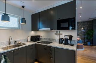 Modern house with private patio near city center - 9