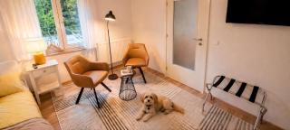 Komfortable Ferienwohnung mit Sauna, Parkplatz & Top Lage in Bad Muskau - 7