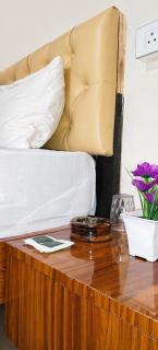 Hotel Mayur Lodge - 3