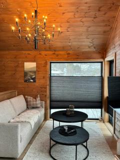 New Family Cabin Near Ski Lifts In Sirdal - 4