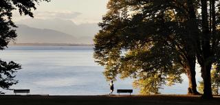 Ferienwohnung am Lindenhof - 9