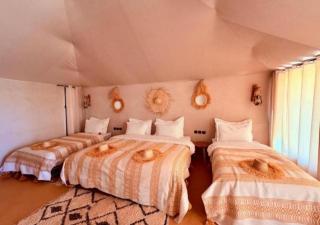 sahara grown camp - 2