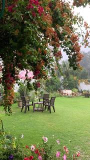 Green Serene Abode - 3