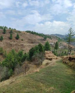 Hill views kotli sattian - 3